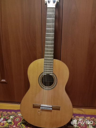 Мастеровая гитара + теплый чехол