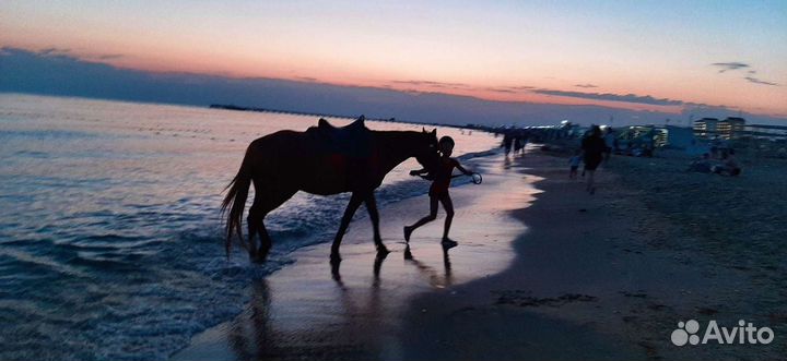 Конные прогулки