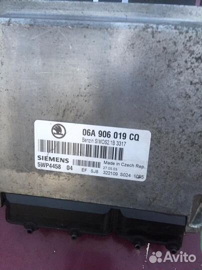 Мозги на шкоду Октавиа