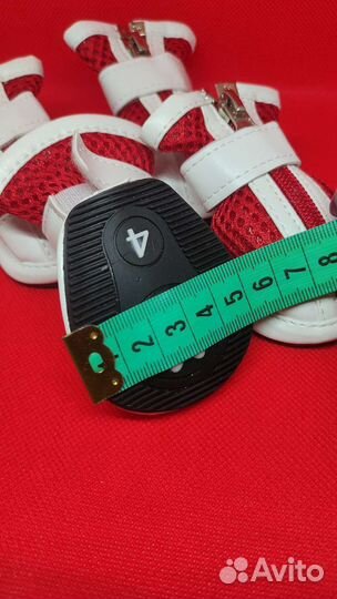 Ботинки для собак