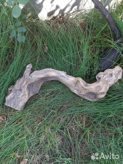 Коряга, дрифтвуд