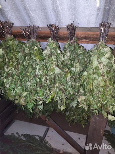 Березовые веники