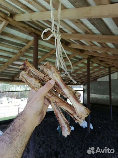 Сухое лакомство для собак натуральный корм