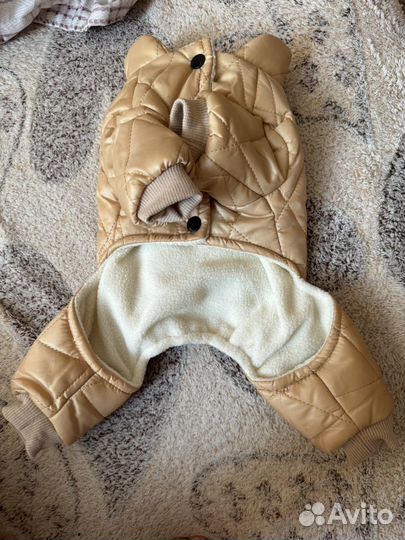 Костюмчик для собачки