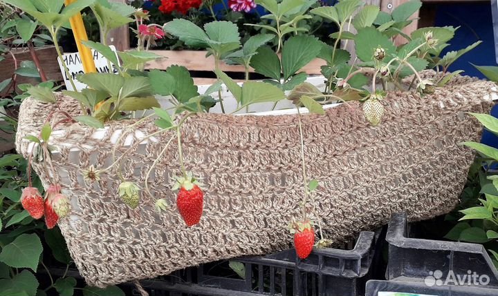 С бечевки, шпагата свяжу кашпо, коврики