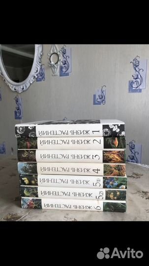 Энциклопедия 