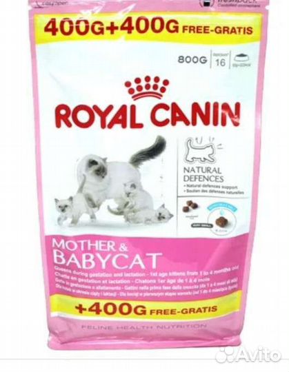 Сухой корм для котят ибеременных кошек royal canin