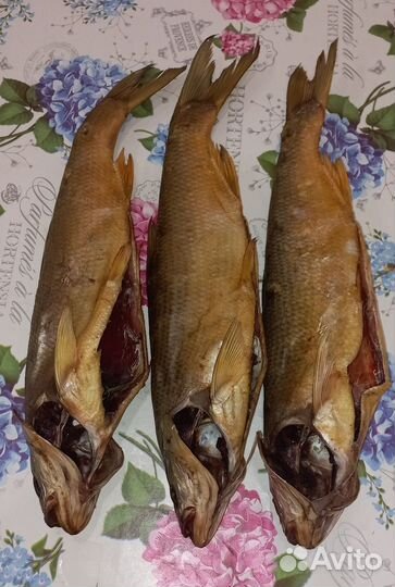 Жерех вяленый