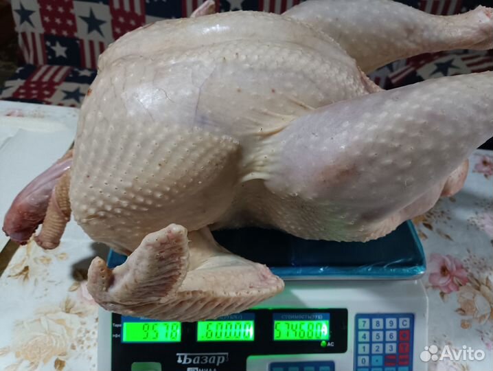 Домашние мясо