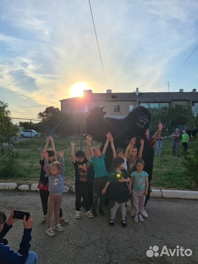 Горилла на праздник аниматоры Красногвардейское