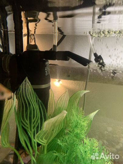 Нобор аквариум