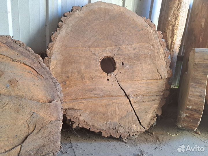 Спил дуба сухой