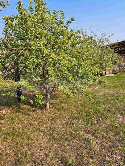 Дом 238 м² на участке 20 сот.