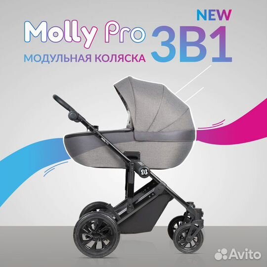 Коляска модульная 3в1 Molly Pro