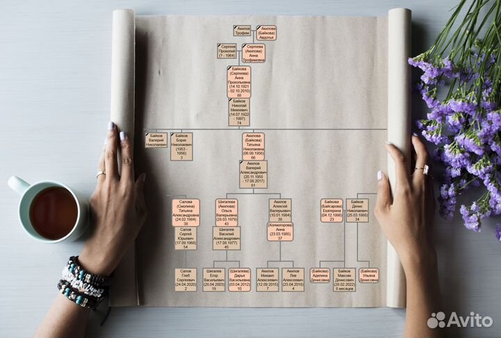 Родословная книга