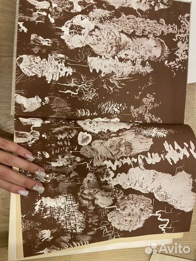 Книга Пан Тадеуш