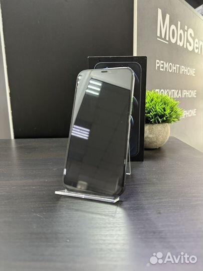 iPhone 12 Pro Max, 256 ГБ