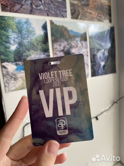 Альбом violet tree