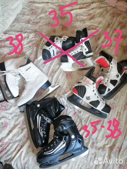 Коньки разные