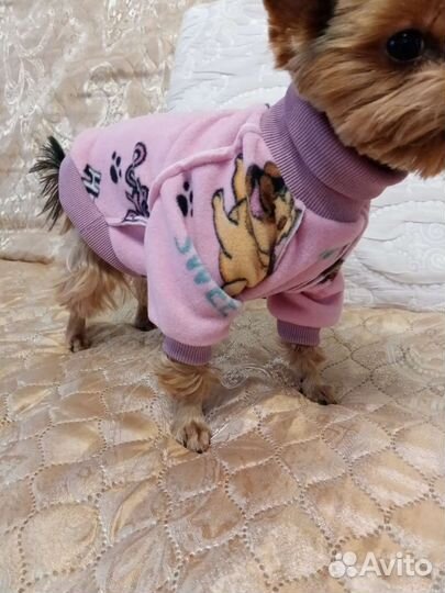 Худи для сабачек