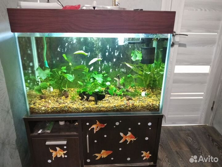 Аквариум 240 литров