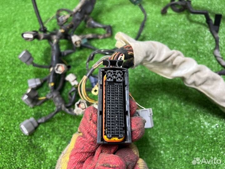 Проводка двс Nissan Almera N16 1.5 QG15 2005