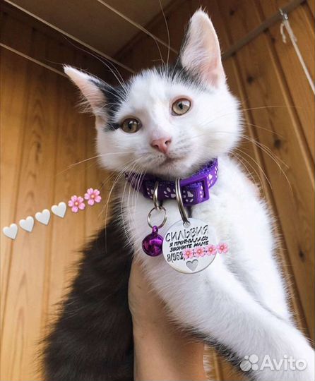 Адресник для собак / кошек, брелок, жетон