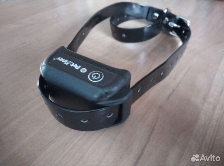 Ошейник для собак