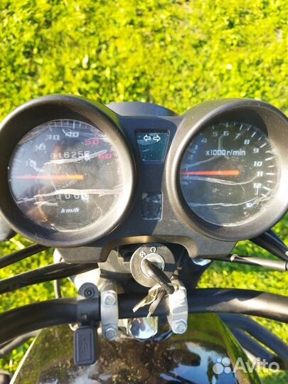 Alpha tourist 110cc