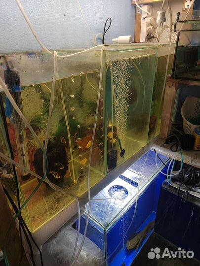Аквариум