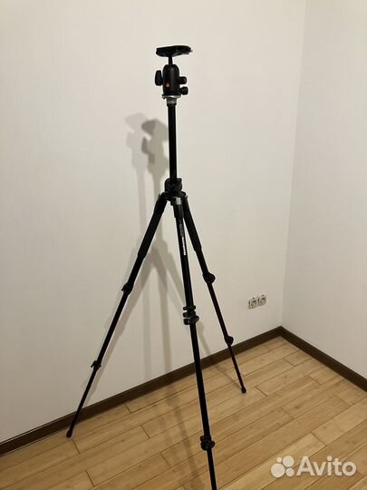 Штатив Manfrotto 190xprob + шт. голова 498RC4