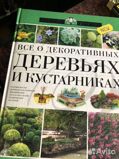 Все о комнатных растениях, о газоне и кустарниках