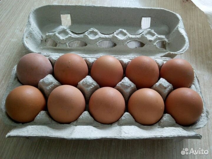 Домашние куриные яйца