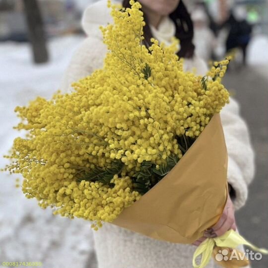 Букеты из мимозы (Арт.84015)