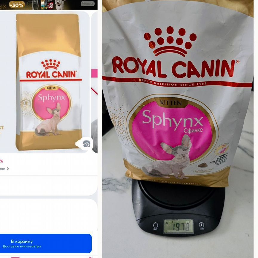 Сухой корм для котят royal canin для сфинксов