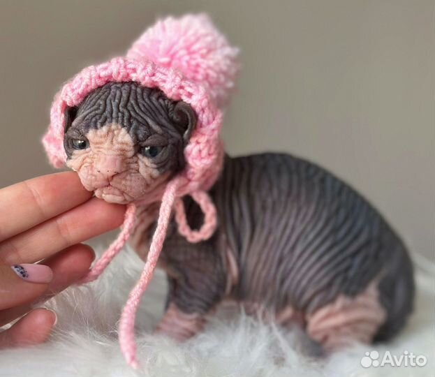 Exclusive quality baby boy