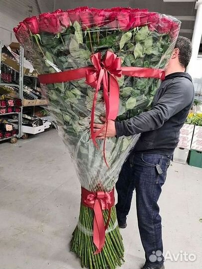 Высокие розы