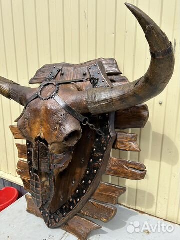 Череп доисторического бизона