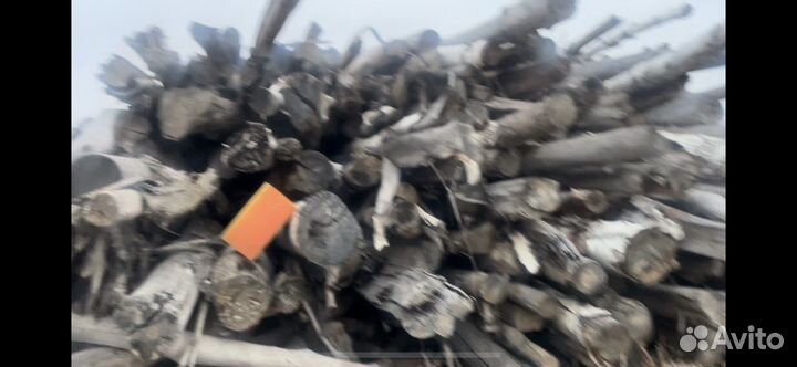 Коряги пни ветки спилы кругляк