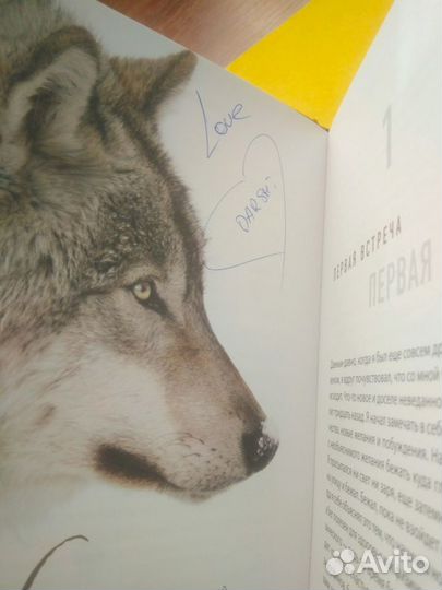 Автограф Свами Даши. Книга 