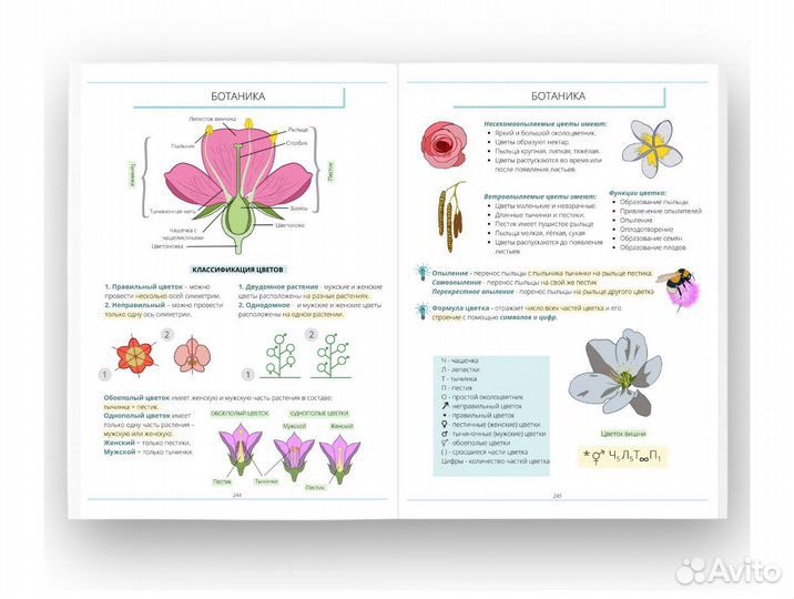Учебник Алёны Бриз по биологии