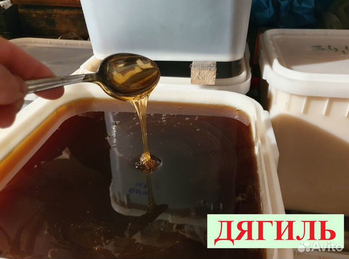 Мёд дягиль. Свежий 2023г. От пчеловода