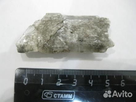 Белемнит, окаменелости, кристаллы гипса, аммониты