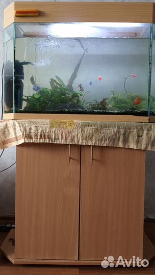 Аквариум