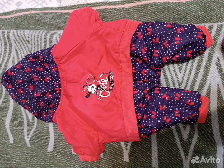 Одежда для маленьких собак xs