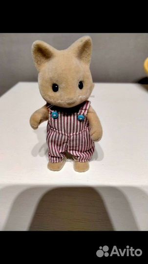 Салливан фэмэли Набор котят