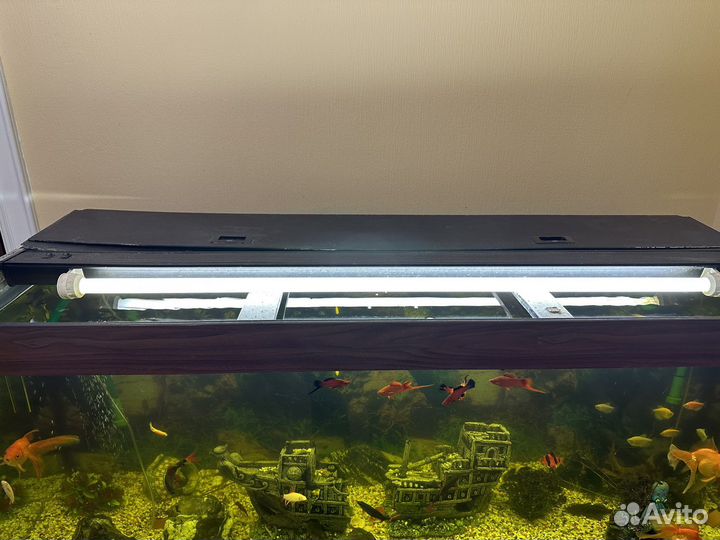 Аквариум juwel 450