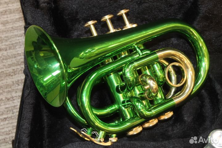 Труба Roy Benson PT-101E