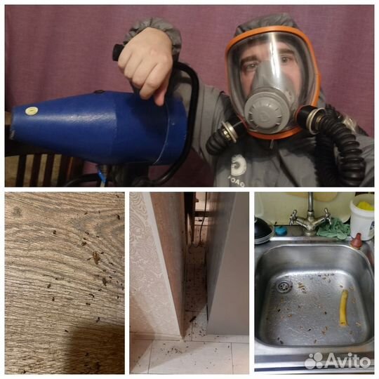 Дезинфекция