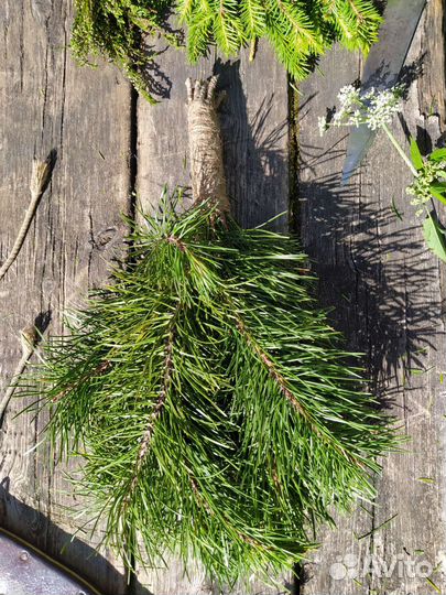 Веники для бани